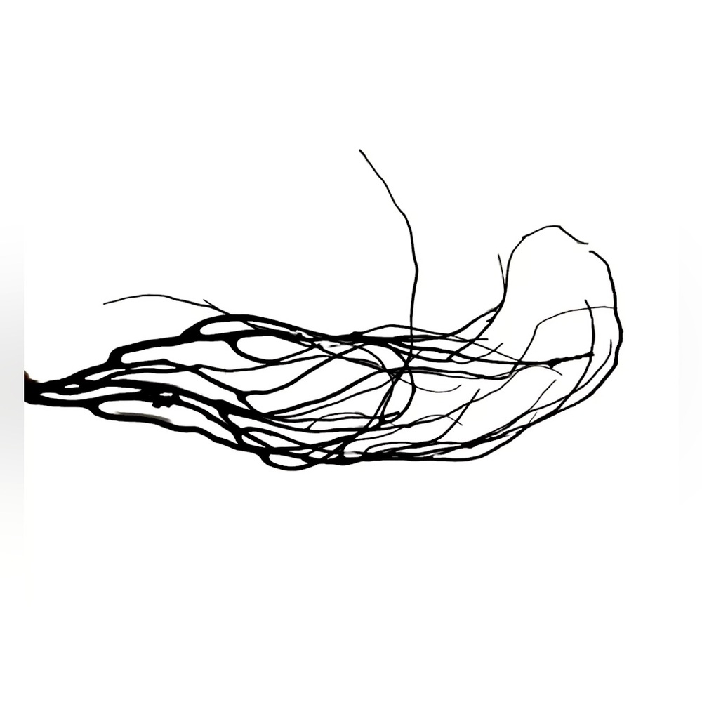 Spiritual healing black coral. Black coral branch